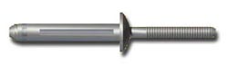 Huck fastener - blind rivet
